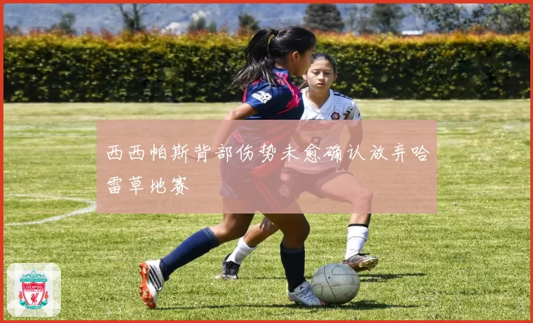 西西帕斯背部伤势未愈确认放弃哈雷草地赛